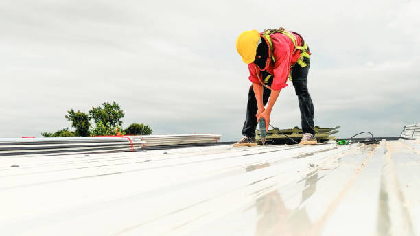Best Cold Roofs  in Umatilla, FL